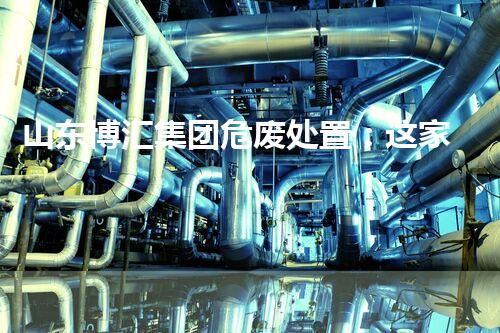 山东博汇集团危废处置：这家工厂如何让“危险废物”变废为宝？